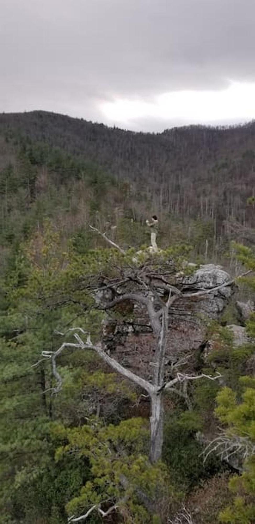 Bark House Heart Of Linville Falls Wspa Newland Zewnętrze zdjęcie